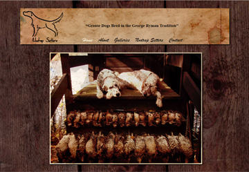Nudrap Setters website thumbnail